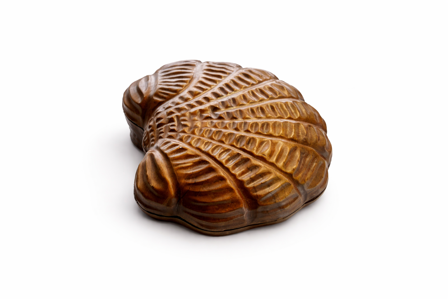 SHELL DÉCOR Thumbnail